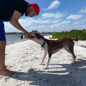 Meet your Posher, Todd